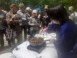 Секреты сбора и приготовления папоротника раскрыли жителям Сахалина