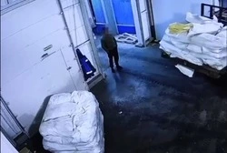 Житель Сахалина пойдет под суд за контрабанду 38 тонн рыбы и икры