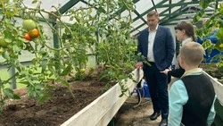 В школах Сахалинской области создадут аграрные классы