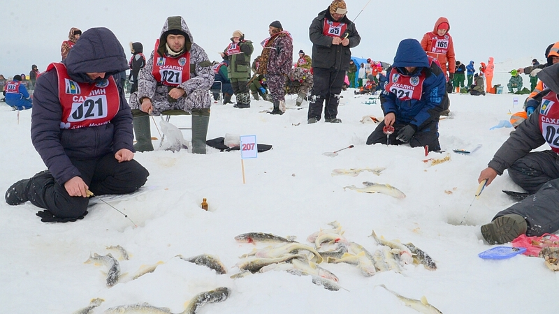 Делегации из приморских регионов России приедут на «Сахалинский лёд-2017»