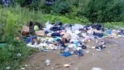 Стихийная свалка образовалась на месте убранного контейнера в Первой Пади