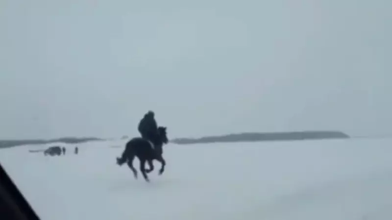 Сахалинских рыбаков впечатлил мужчина, проскакавший на коне по реке Поронай