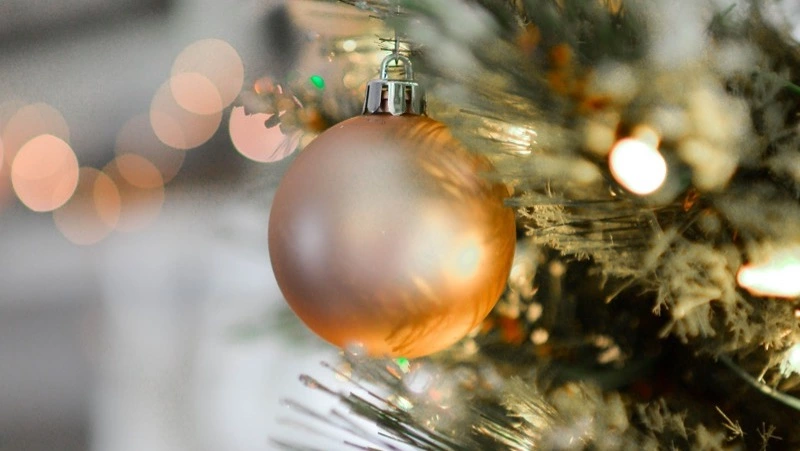 Идеи безопасного для детей новогоднего декора назвали жителям Сахалина