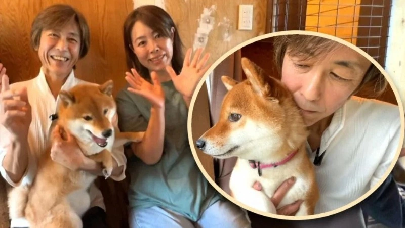 Японец продал Ferrari, чтобы открыть приют для агрессивных собак