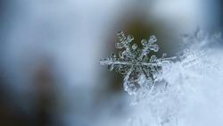Пасмурная и снежная погода ожидается в Сахалинской области 22 февраля 