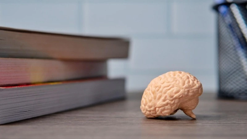 Тест на эрудицию: лишь знатоки наберут сразу 9/9