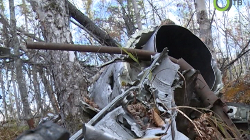 Сахалинские школьники вышли на поиски деталей МиГ-17, разбившегося при загадочных обстоятельствах (ВИДЕО)
