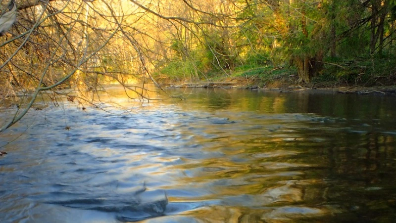 Народные приметы на 22 апреля 2024: что нельзя делать в этот день