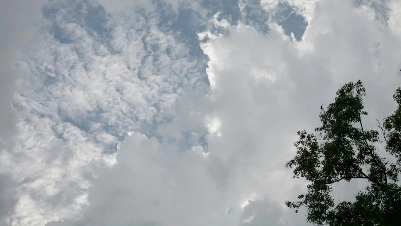 Свежий ветер и до +20 градусов прогнозируют синоптики в Южно-Сахалинске 11 июля