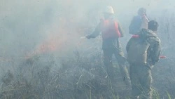 Новую технику на 34 млн рублей закупят для лесопожарных служб Сахалинской области