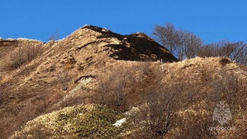 Детская шалость стала причиной пожара в Невельске