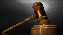 Суд в Корсакове приговорил сахалинца к условному сроку за незаконную вырубку деревьев