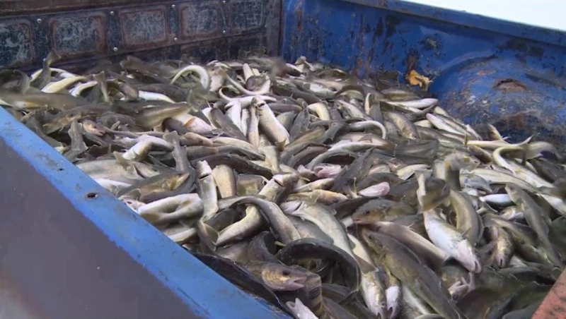 Итоги недели. Выпуск 24.01.26