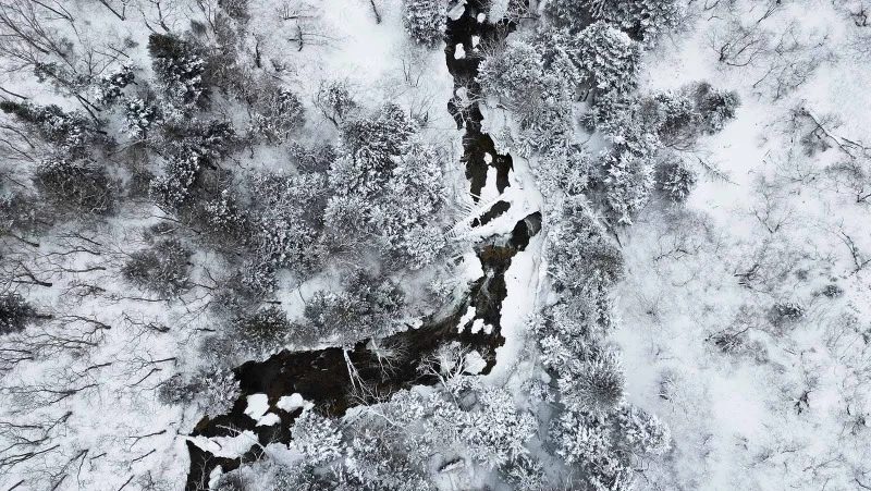 Десятки гнезд для филинов и 100 км дорог: итоги работы охраны заповедника «Курильский»