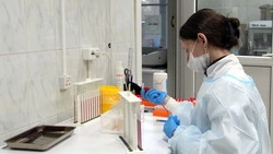 Новая система оплаты труда врачей и блокировка сайтов мошенников: что изменится в России в декабре