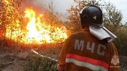 Сухая трава загорелась на площади в 200 кв. метров в Корсаковском районе 14 апреля