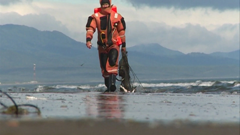 Философия защиты. Выпуск от 24 октября