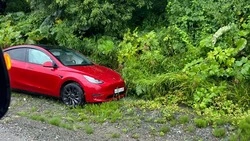 Tesla улетела в кювет на охотской трассе