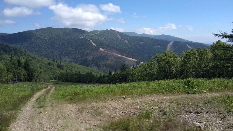 В День России состоится восхождение на гору Российскую в Южно-Сахалинске