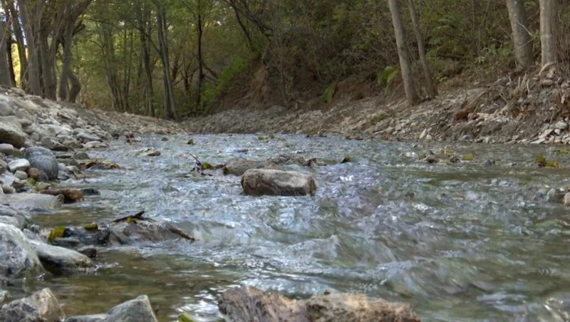 Экологическое правонарушение - что входит в это понятие? Среда обитания 08.10.25