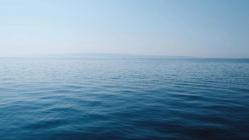 Валерий Лимаренко: стоимость строительства моста на Сахалин выросла до 900 млрд рублей