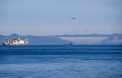 Острова, доступные для всех: как наладили перевозку пассажиров на Курилы