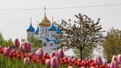 Общественники рассказали, почему Сахалинская область заслуженно вошла в топ-10 рейтинга АСИ