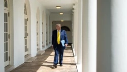 Рубио и Уиткофф вошли в состав делегации Трампа на переговорах с Путиным