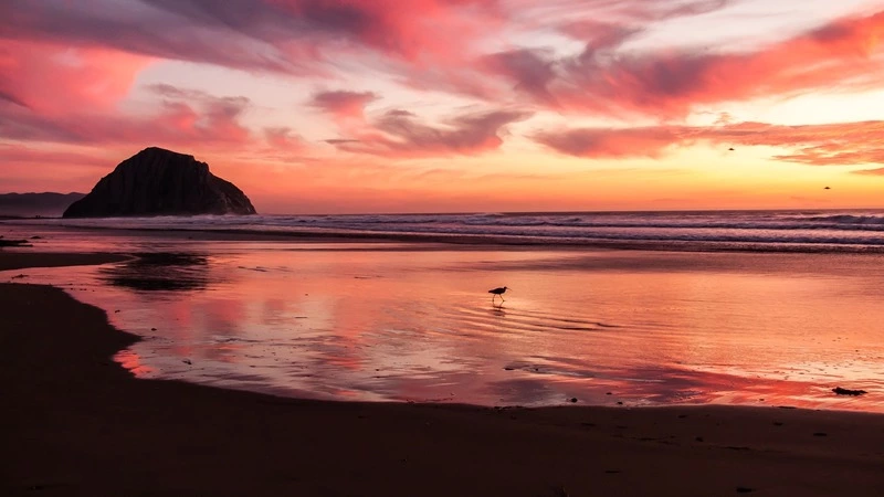В Макаровском районе при поисках рыбака спасатели обошли 14 километров берега реки