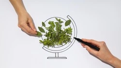 Новые зеленые технологии помогут сохранить природный капитал