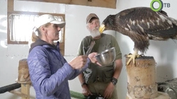 Редкая находка