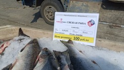 Более 30 тонн горбуши передали жителям Сахалинской области бесплатно