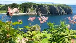 Быстро решить все проблемы Дальнего Востока не получится. «Это к старику Хоттабычу»