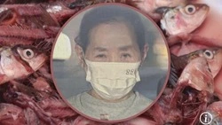 В Японии хозяйка ресторана кормила клиентов рыбьими отходами, которые воровала на рынке