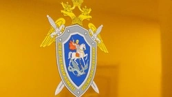 СК завел уголовное дело после отравления волонтеров на «Крыльях Сахалина»