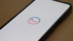 Сахалинка фиктивно прописала у себя 26 иностранцев через «Госуслуги»