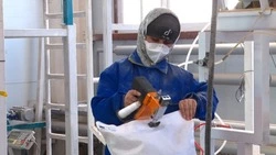 Сахалинский цех первым в России начнет выпускать корм для лососей