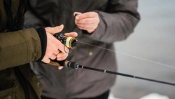 Сахалинских рыбаков оштрафовали почти на полмиллиона рублей с начала года