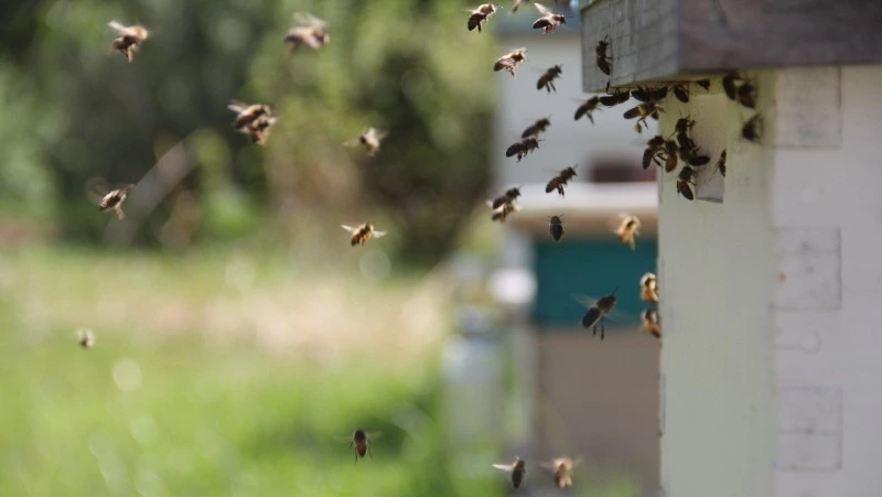 Церковный праздник 2 июля 2024: что нельзя делать в этот день, приметы