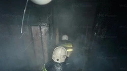 Дружинник и 10 спасателей потушили сарай в Южно-Сахалинске