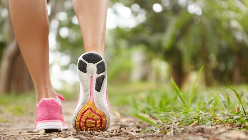 Жителей Сахалина пригласили на оздоровительные прогулки «Огни ночного Южного» 1 июня