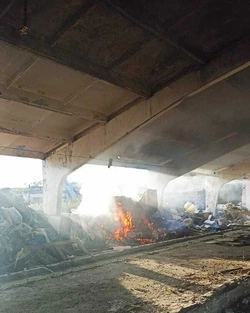 Пожарные не дали сгореть заброшенной ферме в Троицком