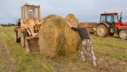 «Сегодня важно оказать поддержку людям». На Сахалине помогут малому бизнесу и КФХ
