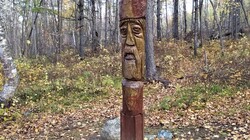 «Что за зло?»: в лесу на Сахалине нашли загадочного идола