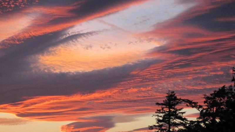 Пропавшую в Троицком девочку нашли в Поронайском районе