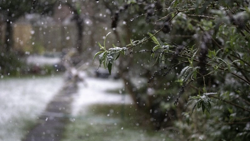 Снег и ветер до 25 м/с: прогноз погоды на Сахалине и Курилах 17 апреля