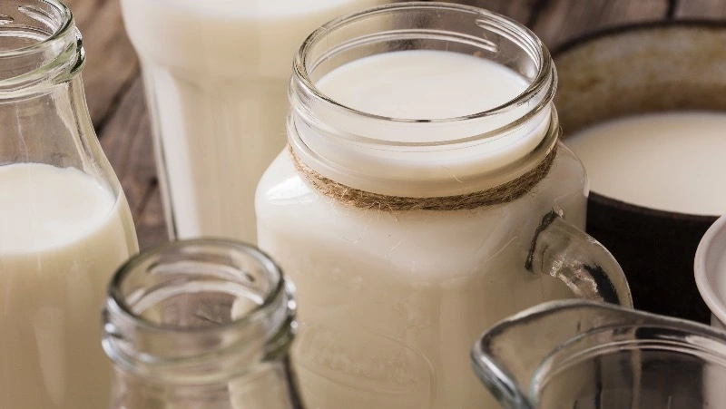 Российские ученые нашли полную альтернативу молочному сырью для изготовления кефира