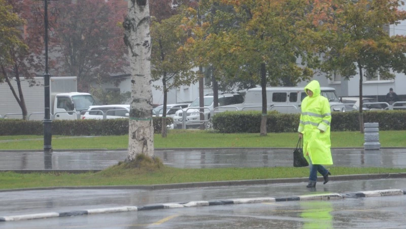 Дождь и холод: прогноз погоды в Сахалинской области на 22 мая