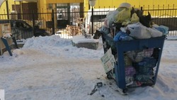 «Мусор разлетается по двору»: сахалинцы пожаловались на переполненные контейнеры для пластиковых отходов
