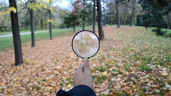 Пенсионеркам пришлось ночевать в лесу на севере Сахалина